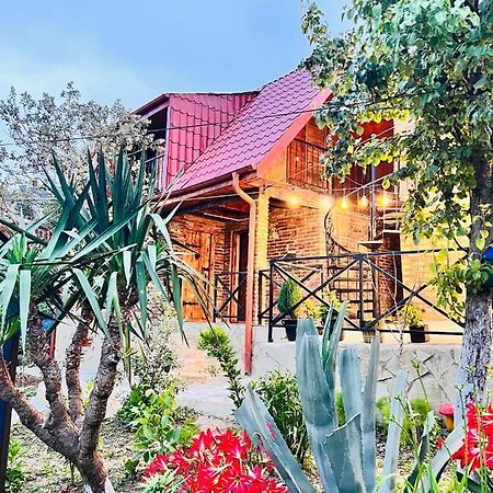 Sunshine House Villa Koetaisi Buitenkant foto